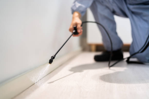 Certified termite inspector examining foundation in Aberdeen